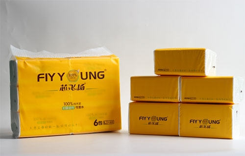 L号6包fly young 纯木浆精品软91天美麻豆果冻传媒在线播放